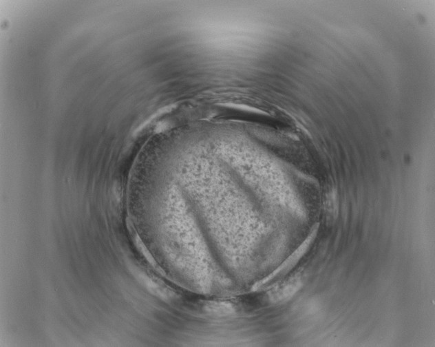 X0000088030572200705251119