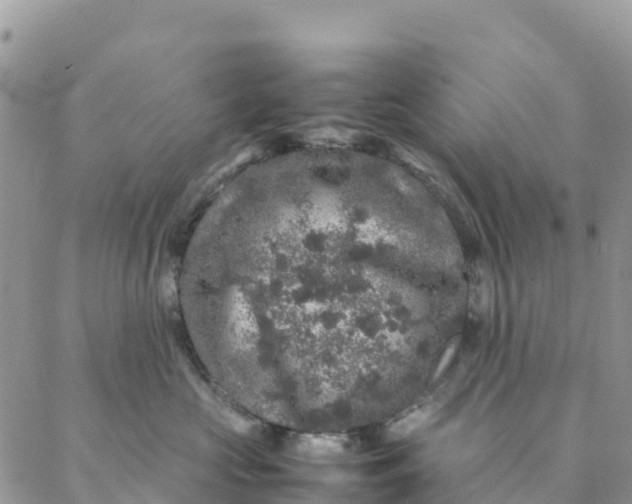 X0000088030573200705251119