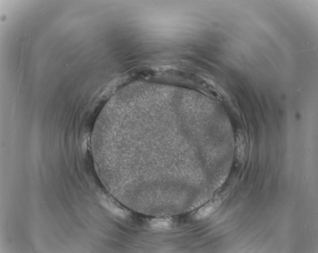 X0000088030574200705251119