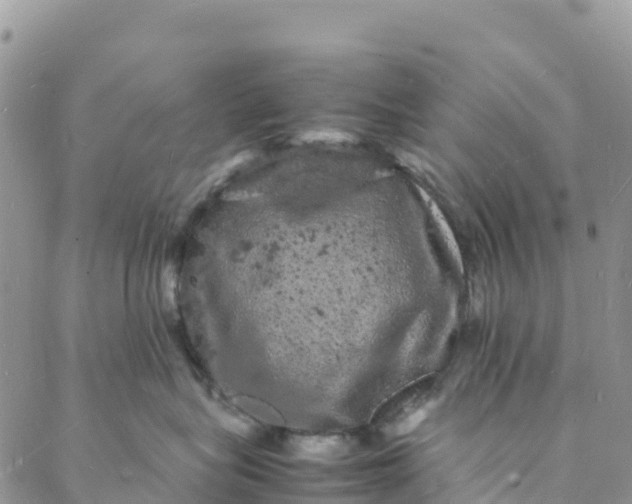 X0000088030575200705251119