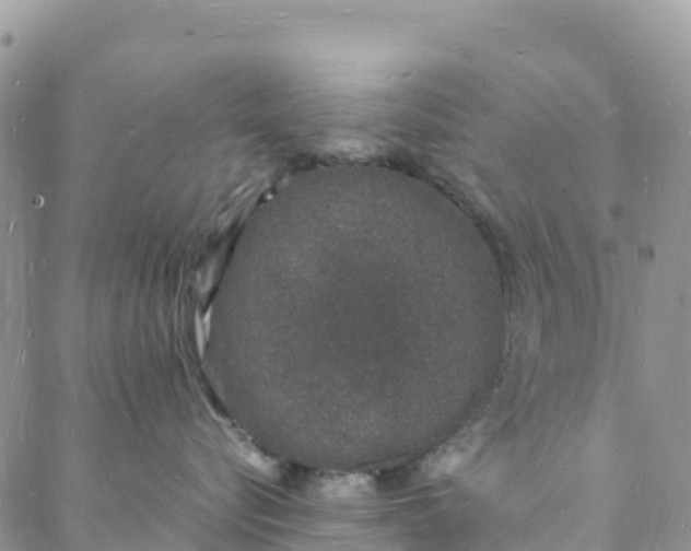 X0000088030576200705251119