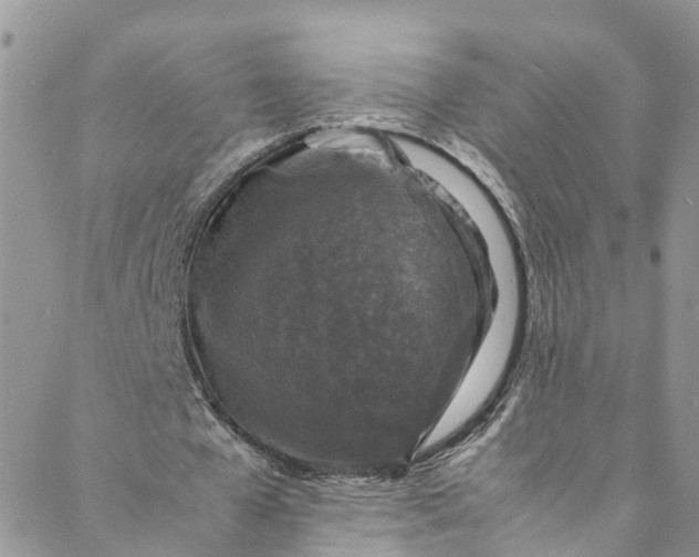 X0000088030577200705251119