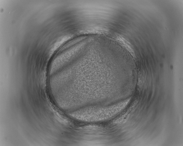 X0000088030578200705251119