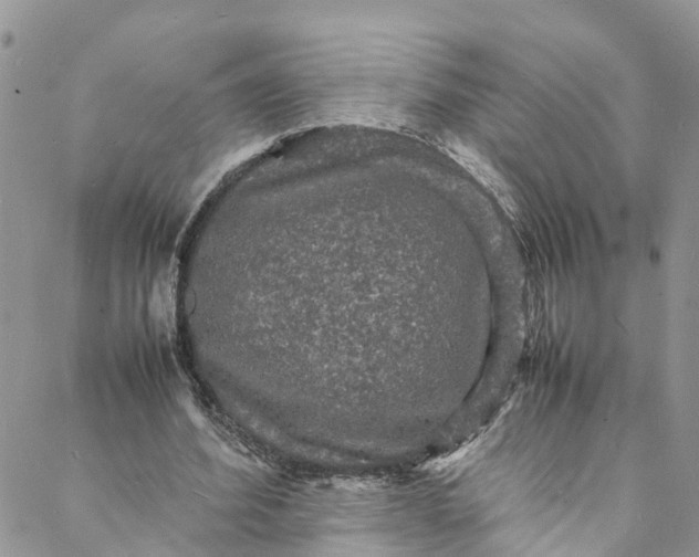 X0000088030580200705251119