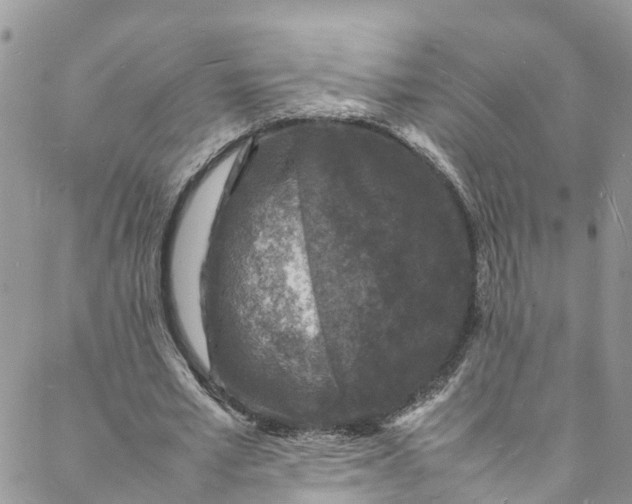 X0000088030581200705251119