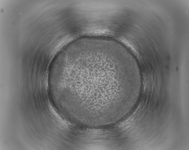 X0000088030582200705251119