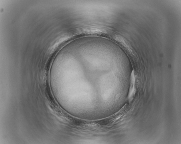 X0000088030583200705251119