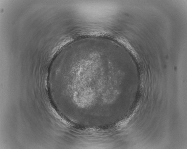 X0000088030585200705251118