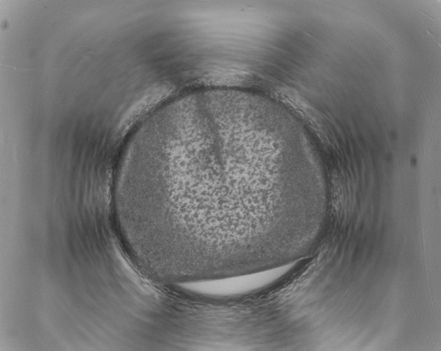 X0000088030586200705251118