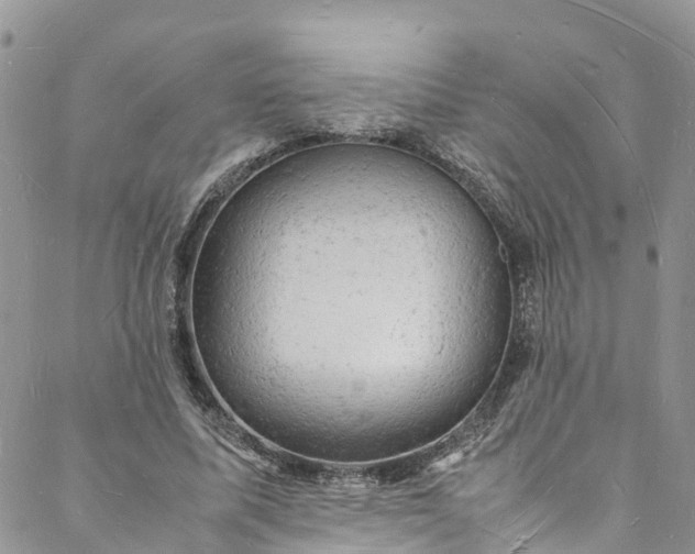 X0000088030587200705251118