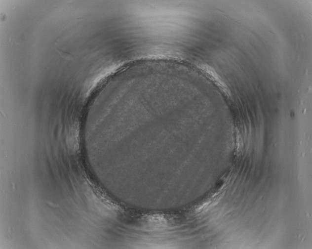 X0000088030588200705251118