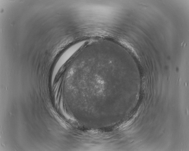 X0000088030589200705251118