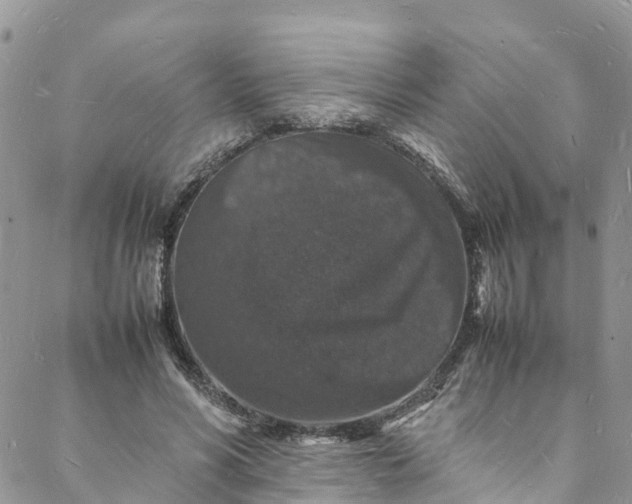 X0000088030590200705251118