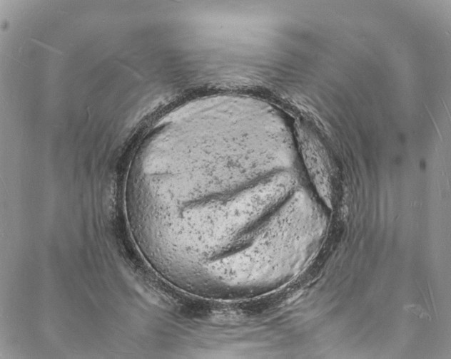 X0000088030591200705251118