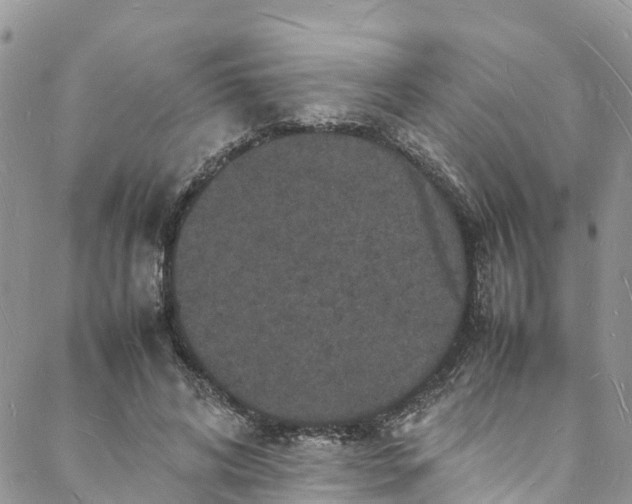 X0000088030592200705251118