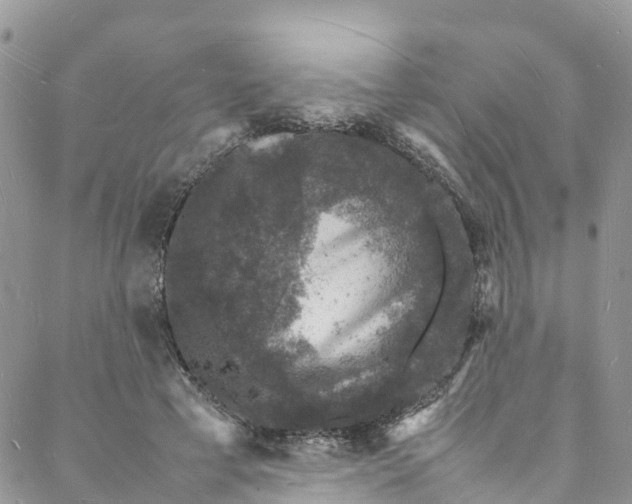 X0000088030593200705251118