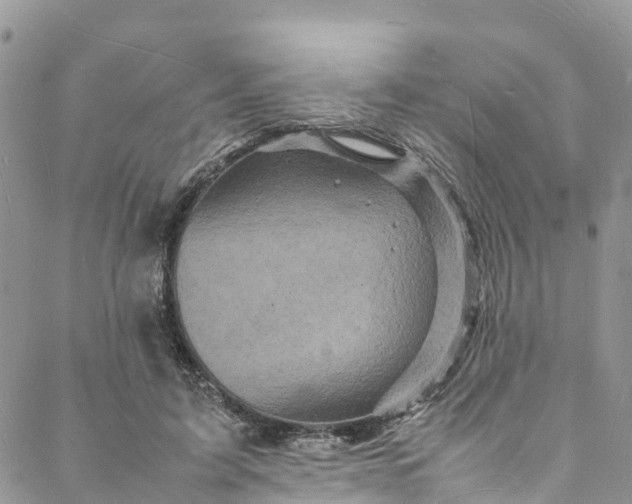 X0000088030595200705251118