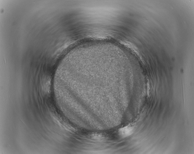 X0000088030596200705251118