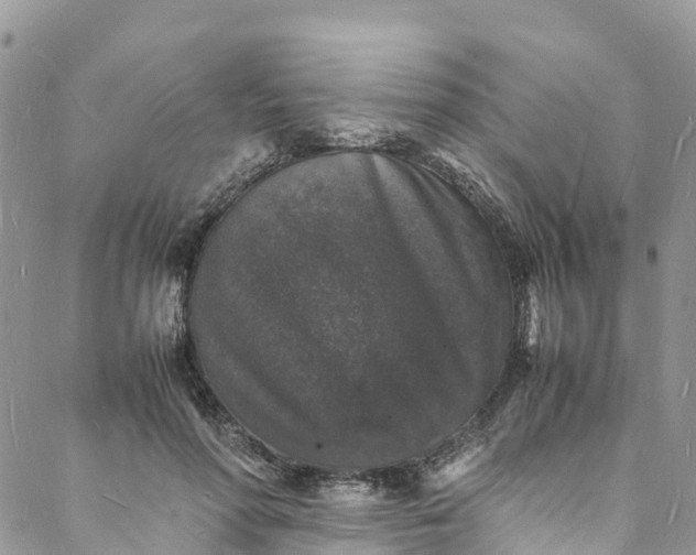 X0000088030598200705251118