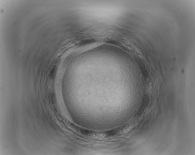 X0000088030599200705251118