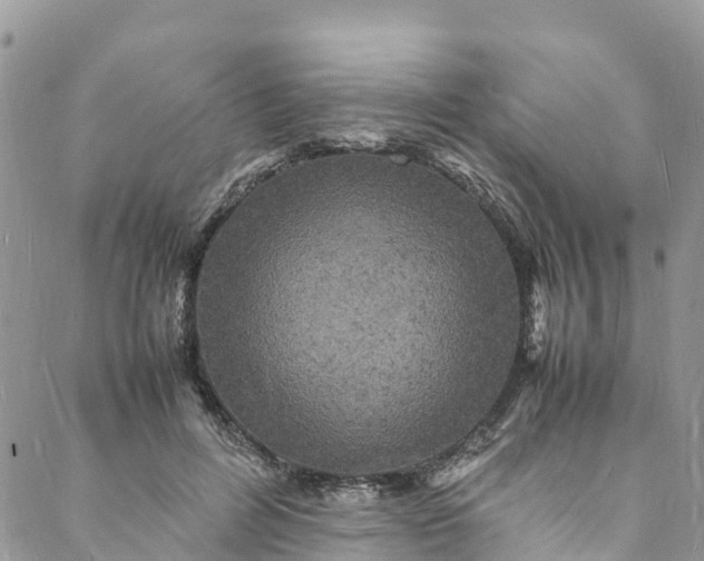 X0000088030600200705251118