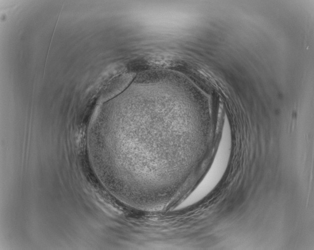 X0000088030601200705251118