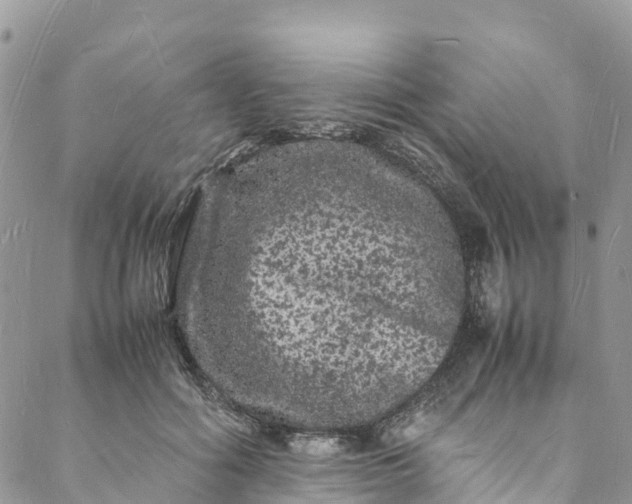 X0000088030602200705251118