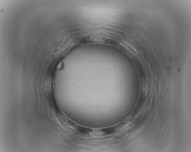 X0000088030603200705251118