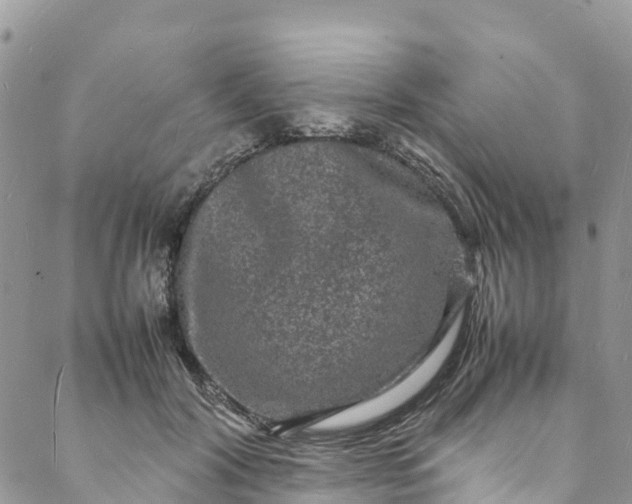 X0000088030604200705251118