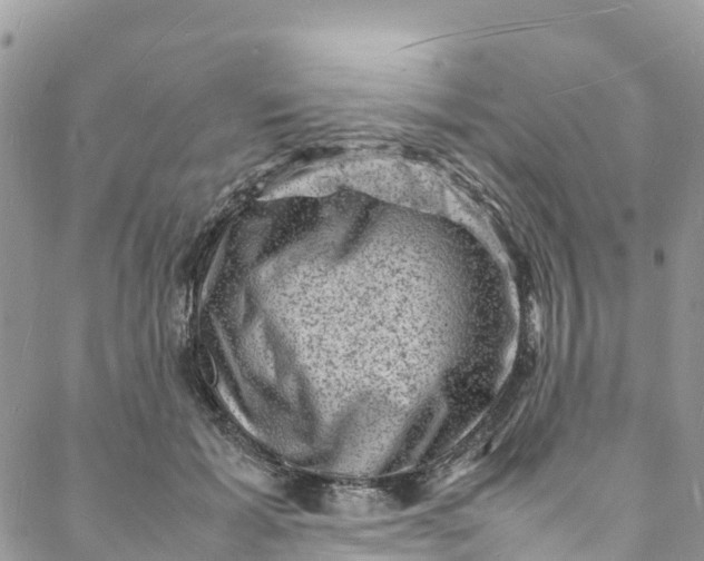 X0000088030605200705251118