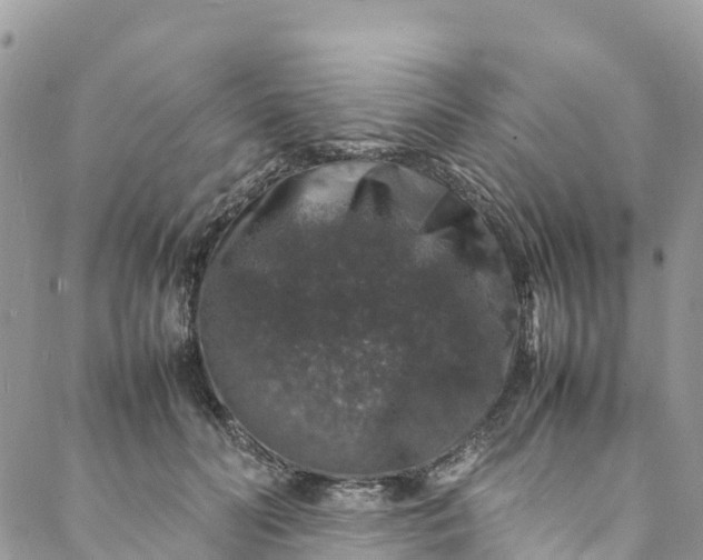 X0000088030606200705251118