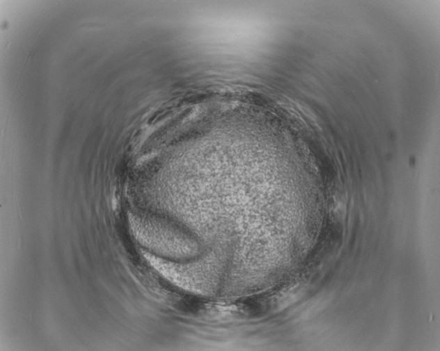 X0000088030607200705251118