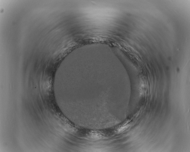 X0000088030608200705251118