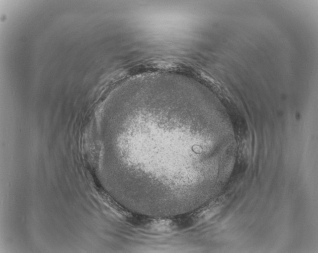 X0000088030609200705251118