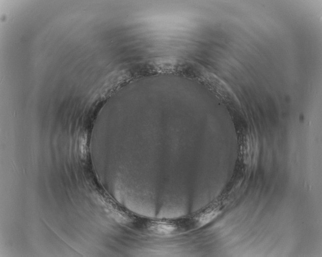 X0000088030610200705251118