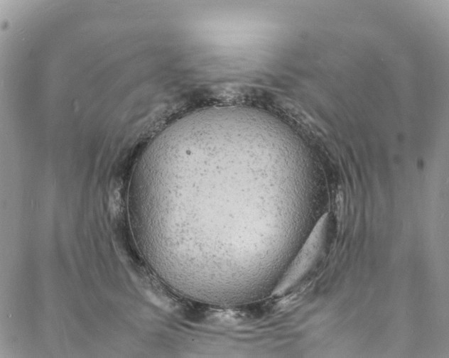 X0000088030611200705251118