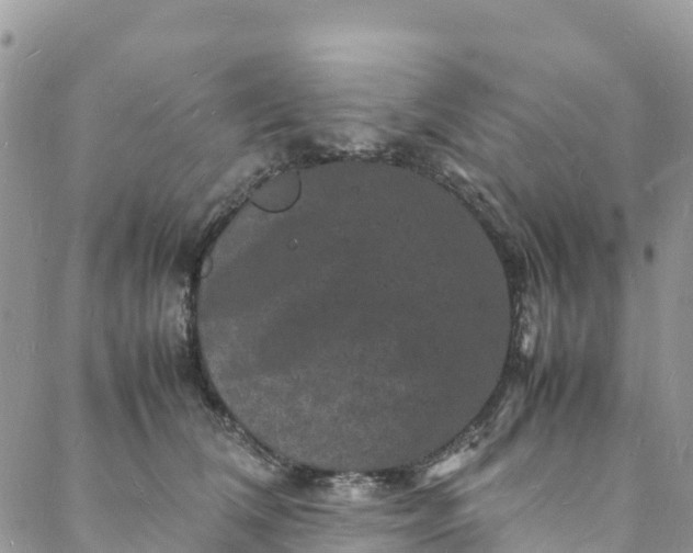 X0000088030612200705251118