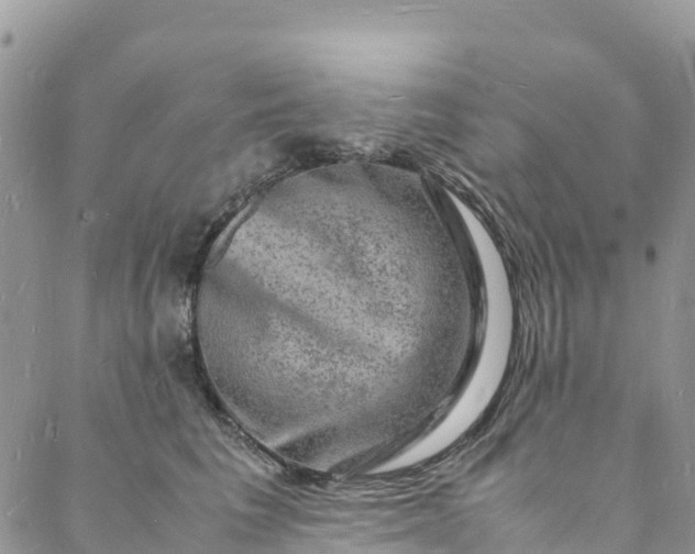 X0000088030613200705251118