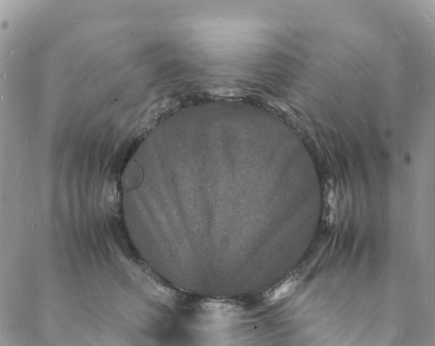 X0000088030614200705251118