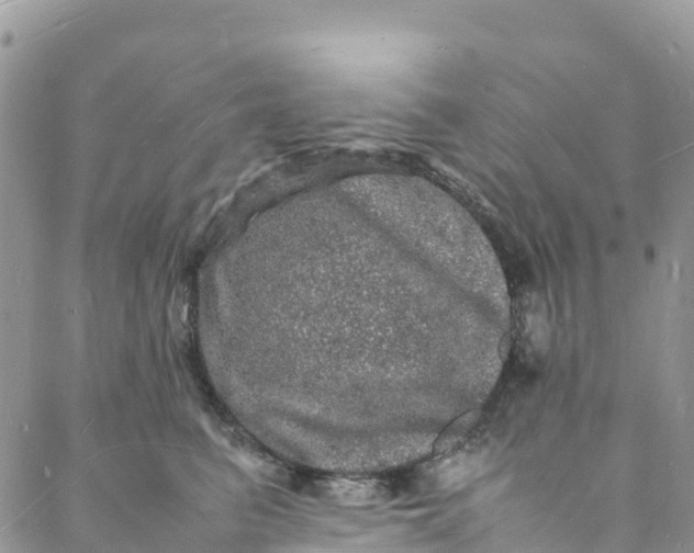 X0000088030615200705251118