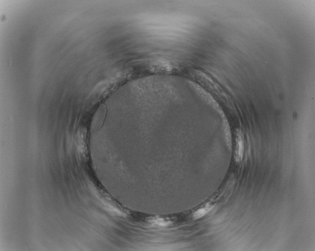 X0000088030616200705251118