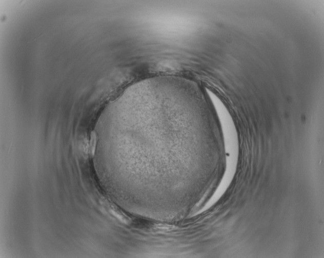 X0000088030617200705251118