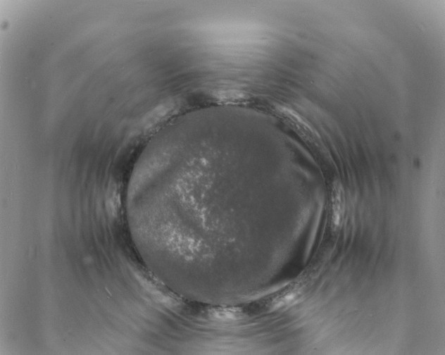 X0000088030618200705251118