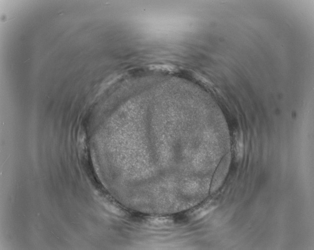 X0000088030619200705251118