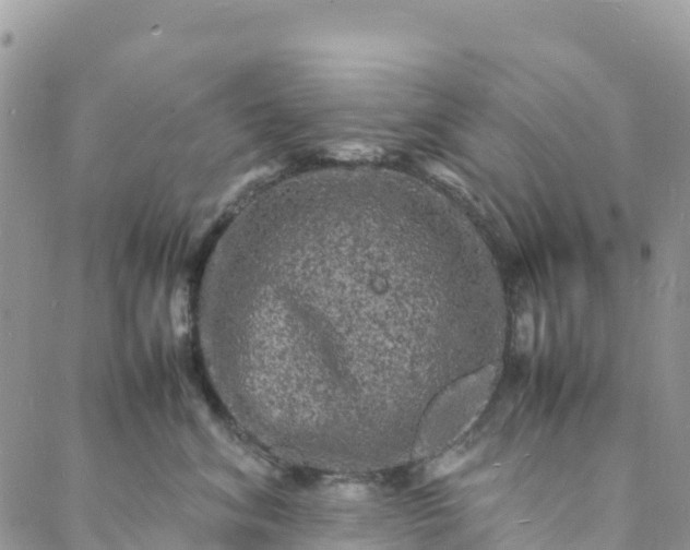 X0000088030620200705251118