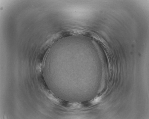 X0000088030621200705251118