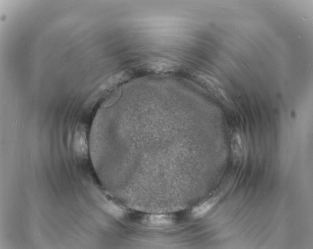 X0000088030622200705251118