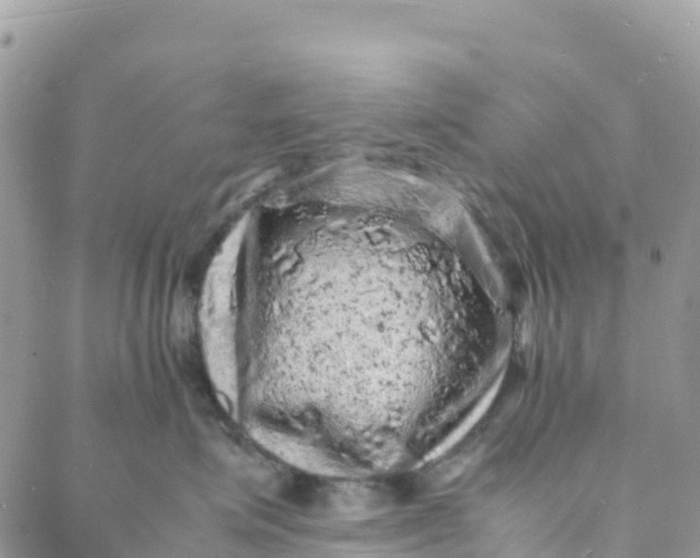 X0000088030623200705251118