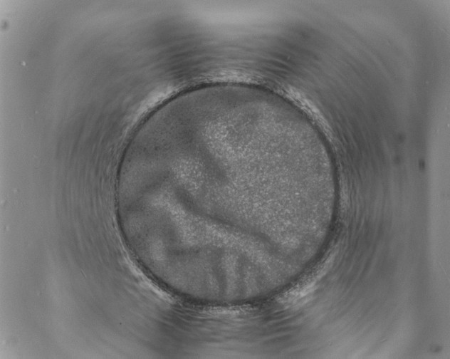 X0000088030625200705251117