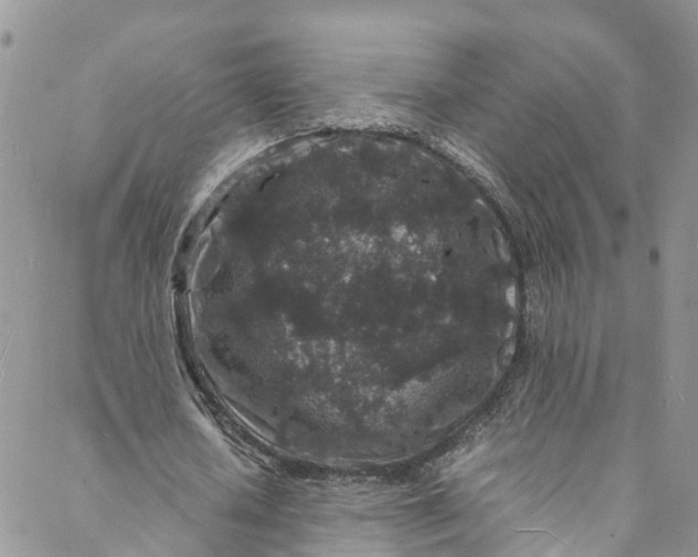 X0000088030626200705251117